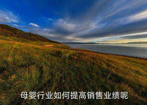  母嬰行業(yè)如何提高銷售業(yè)績呢