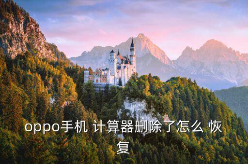 怎么恢復計算器數(shù)據(jù)的,計算器數(shù)據(jù)如何恢復