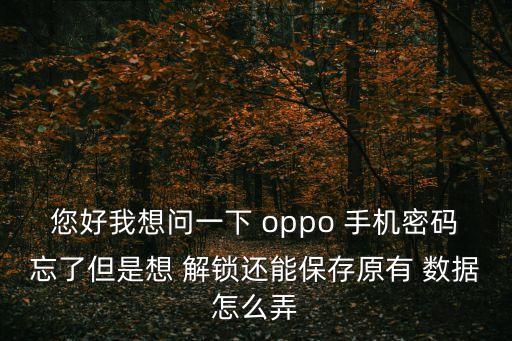 您好我想問一下 oppo 手機(jī)密碼忘了但是想 解鎖還能保存原有 數(shù)據(jù)怎么弄