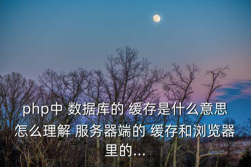 php中 數(shù)據(jù)庫的 緩存是什么意思怎么理解 服務(wù)器端的 緩存和瀏覽器里的...