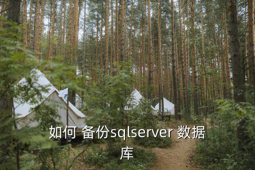 如何 備份sqlserver 數(shù)據(jù)庫(kù)