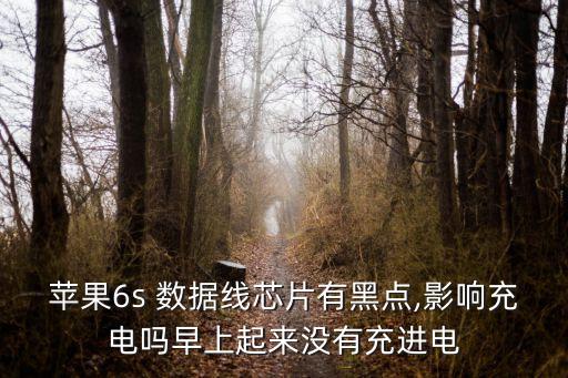 數(shù)據(jù)線造成壞點(diǎn),壞點(diǎn)是怎么造成的