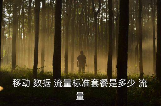 移動 數(shù)據(jù) 流量標準套餐是多少 流量