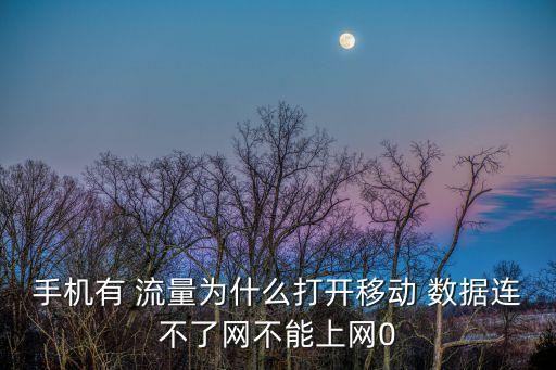 手機(jī)有 流量為什么打開移動(dòng) 數(shù)據(jù)連不了網(wǎng)不能上網(wǎng)0