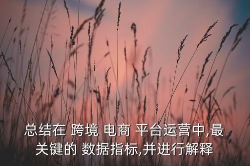 總結(jié)在 跨境 電商 平臺運(yùn)營中,最關(guān)鍵的 數(shù)據(jù)指標(biāo),并進(jìn)行解釋
