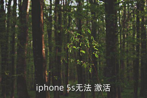 iphone 5s無法 激活