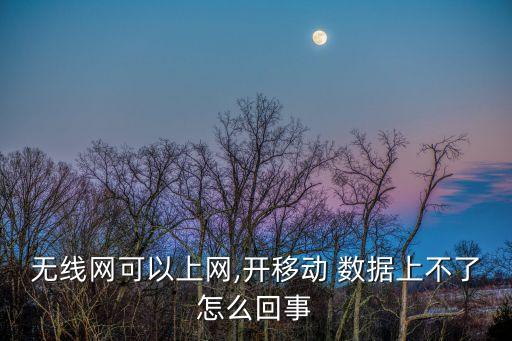無線網可以上網,開移動 數據上不了怎么回事