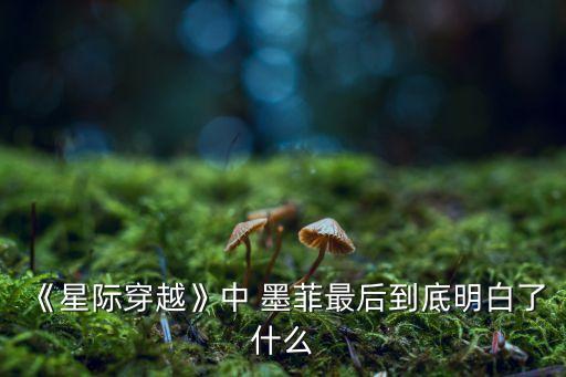 《星際穿越》中 墨菲最后到底明白了什么