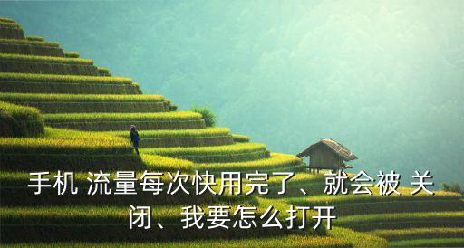 關(guān)閉了國(guó)內(nèi)數(shù)據(jù)流量,電話手表怎么關(guān)閉數(shù)據(jù)流量