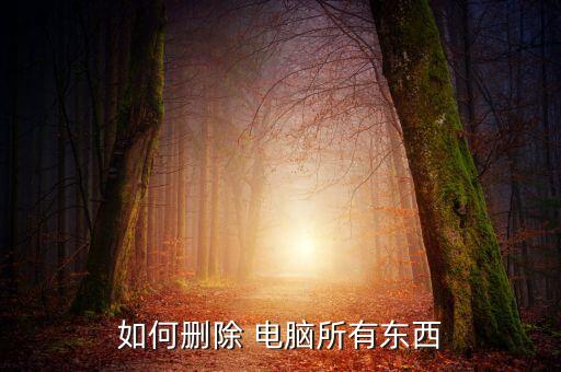 如何刪除 電腦所有東西