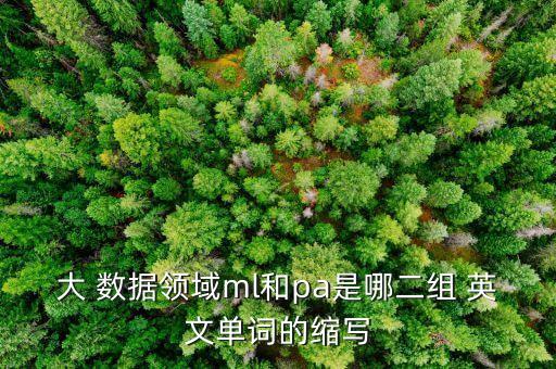 電力大數(shù)據(jù)英文,電力的英文electricity