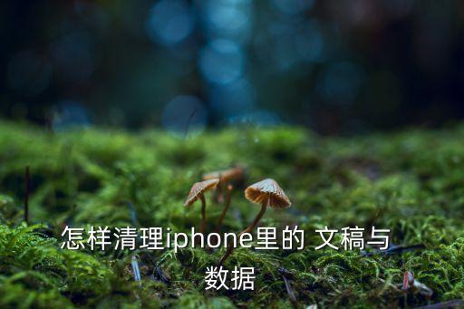 怎樣清理iphone里的 文稿與 數(shù)據(jù)
