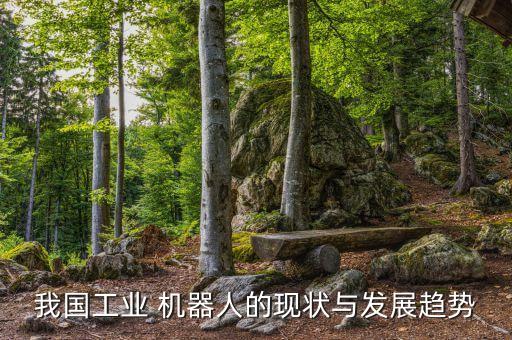 機(jī)器人技術(shù)及應(yīng)用研究,視覺技術(shù)在機(jī)器人中的應(yīng)用研究