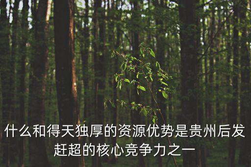 什么和得天獨(dú)厚的資源優(yōu)勢(shì)是貴州后發(fā)趕超的核心競(jìng)爭(zhēng)力之一