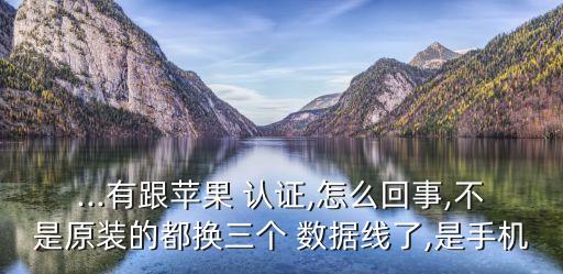 5s數(shù)據(jù)線怎么認(rèn)證,12數(shù)據(jù)線怎么查看認(rèn)證