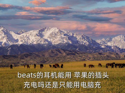  beats的耳機能用 蘋果的插頭充電嗎還是只能用電腦充