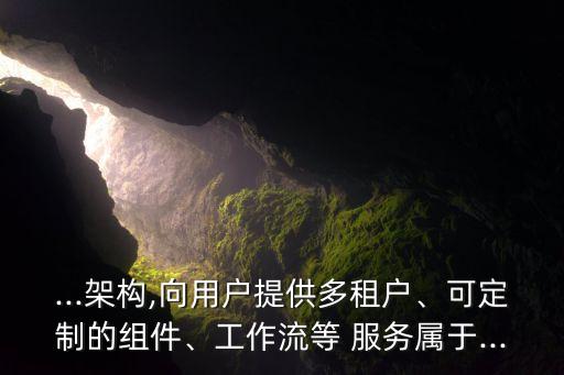 ...架構,向用戶提供多租戶、可定制的組件、工作流等 服務屬于...