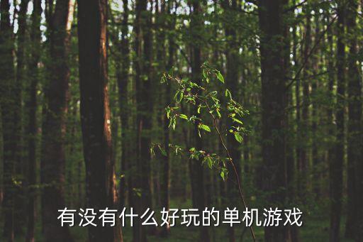 有沒有什么好玩的單機(jī)游戲