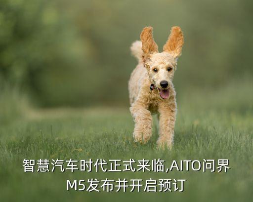 智慧汽車時(shí)代正式來臨,AITO問界M5發(fā)布并開啟預(yù)訂