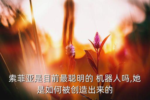 索菲亞是目前最聰明的 機(jī)器人嗎,她是如何被創(chuàng)造出來的