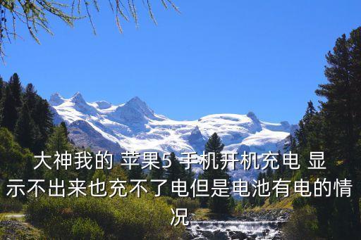 蘋果5手機開數(shù)據(jù)不顯示不出來怎么辦啊