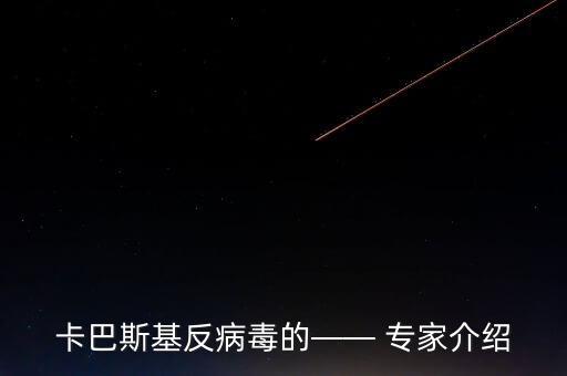 卡巴斯基反病毒的—— 專家介紹