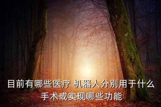 目前有哪些醫(yī)療 機(jī)器人分別用于什么 手術(shù)或?qū)崿F(xiàn)哪些功能