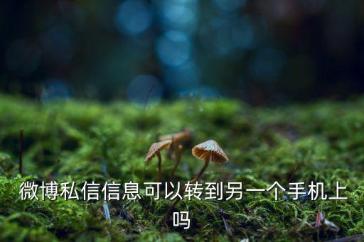 微博數(shù)據(jù)遷移,iphone數(shù)據(jù)遷移