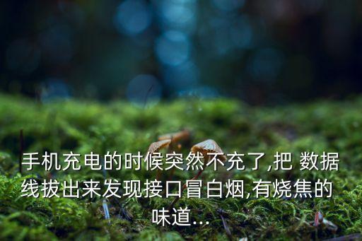 手機(jī)充電的時(shí)候突然不充了,把 數(shù)據(jù)線拔出來(lái)發(fā)現(xiàn)接口冒白煙,有燒焦的 味道...