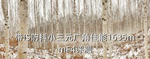 帶IS防抖小三元廣角佳能1635mmF4評(píng)測(cè)