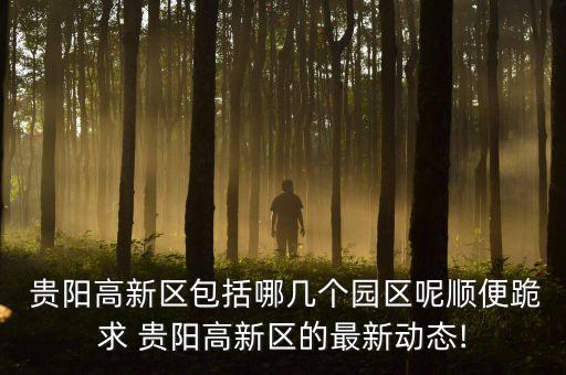  貴陽高新區(qū)包括哪幾個(gè)園區(qū)呢順便跪求 貴陽高新區(qū)的最新動(dòng)態(tài)!