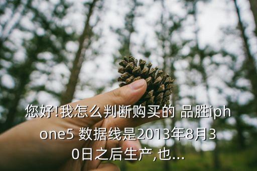 您好!我怎么判斷購買的 品勝iphone5 數(shù)據(jù)線是2013年8月30日之后生產(chǎn),也...