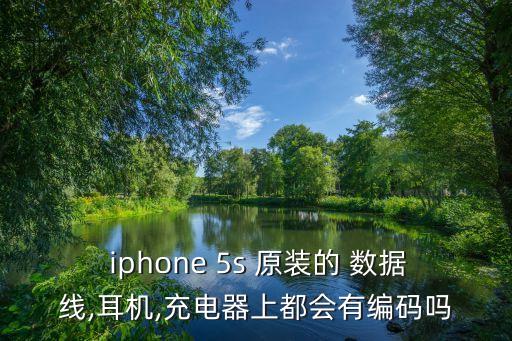  iphone 5s 原裝的 數(shù)據(jù)線,耳機(jī),充電器上都會(huì)有編碼嗎