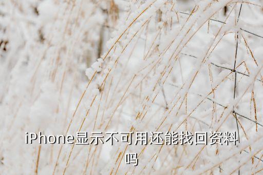 iPhone顯示不可用還能找回資料嗎