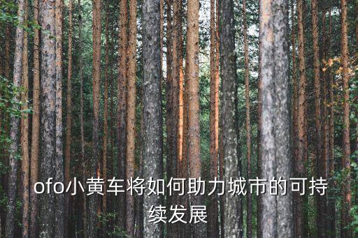 ofo 大數(shù)據(jù)