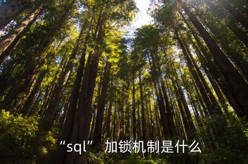 共享數(shù)據(jù)段 加鎖,如果事務(wù)T獲得了數(shù)據(jù)A上的共享鎖