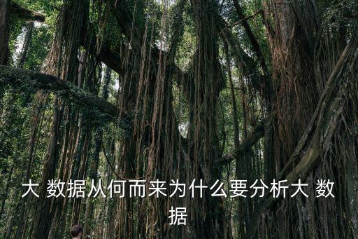 大 數(shù)據(jù)從何而來為什么要分析大 數(shù)據(jù)