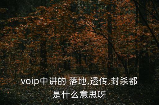 voip中講的 落地,透?jìng)?封殺都是什么意思呀