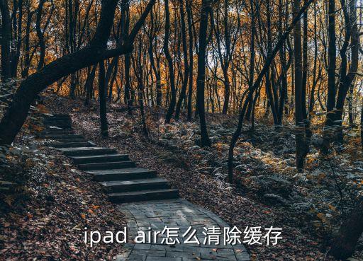 ipad air 數(shù)據(jù)清理