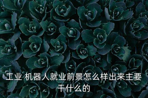 工業(yè) 機(jī)器人就業(yè)前景怎么樣出來(lái)主要干什么的