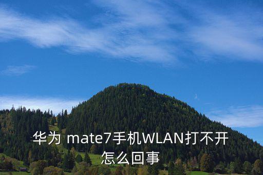 華為 mate7手機(jī)WLAN打不開(kāi)怎么回事