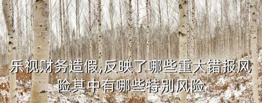 樂視財(cái)務(wù)造假,反映了哪些重大錯(cuò)報(bào)風(fēng)險(xiǎn)其中有哪些特別風(fēng)險(xiǎn)