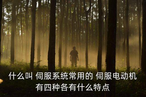 什么叫 伺服系統(tǒng)常用的 伺服電動機(jī)有四種各有什么特點