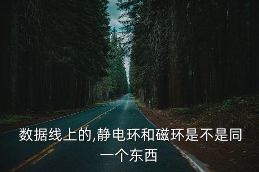  數(shù)據(jù)線上的,靜電環(huán)和磁環(huán)是不是同一個(gè)東西