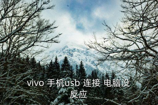 vivo 手機usb 連接 電腦沒反應