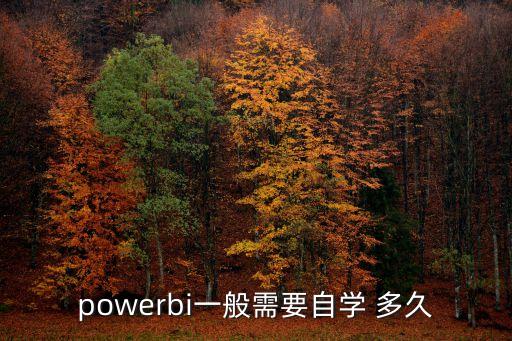 powerbi一般需要自學 多久