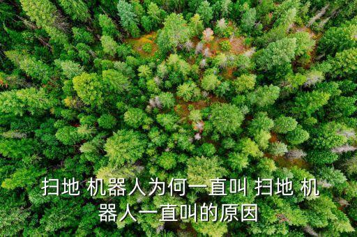 掃地機(jī)器人有語(yǔ)音回答