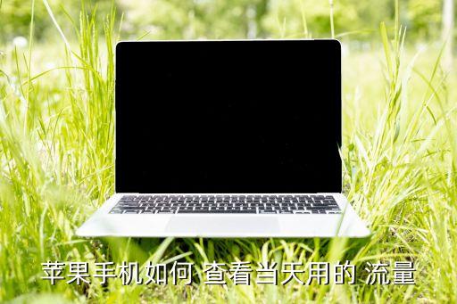 蘋果手機(jī)如何 查看當(dāng)天用的 流量