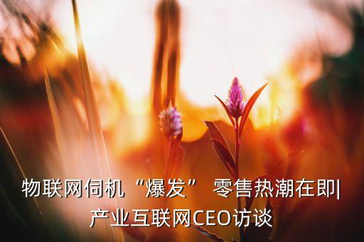 物聯(lián)網(wǎng)伺機(jī)“爆發(fā)” 零售熱潮在即|產(chǎn)業(yè)互聯(lián)網(wǎng)CEO訪談