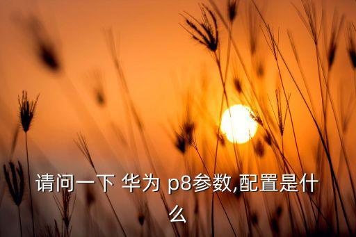請(qǐng)問(wèn)一下 華為 p8參數(shù),配置是什么